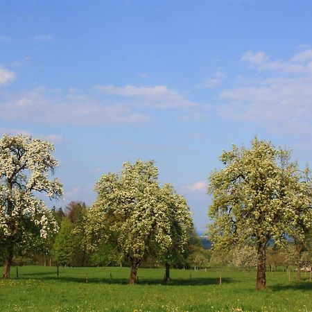 Appartements Apfelbluete Bad Feilnbach Exteriör bild