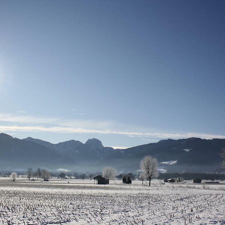 Appartements Apfelbluete Bad Feilnbach Exteriör bild