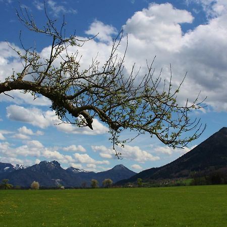 Appartements Apfelbluete Bad Feilnbach Exteriör bild