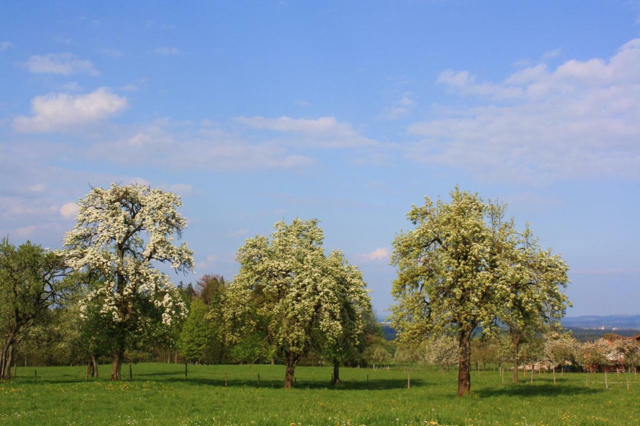 Appartements Apfelbluete Bad Feilnbach Exteriör bild